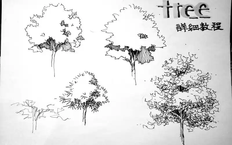 景观手绘基础课02