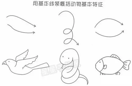 动物简笔画怎么画