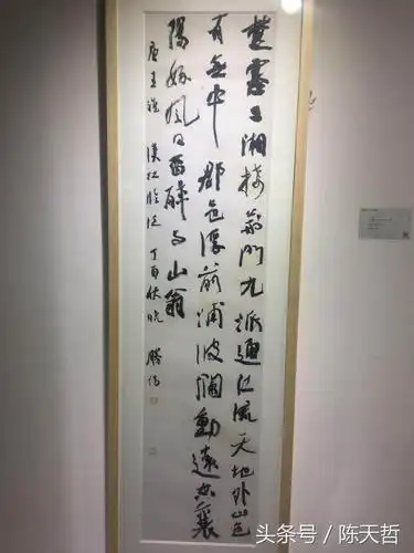 第六届兰亭奖铜奖获得者张胜伟西安书法展作品(大量作品及局部)
