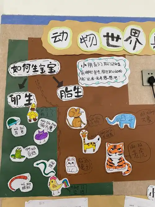 动物世界真奇妙主题墙