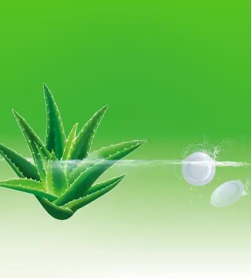 洛娃芦荟洗洁精500gx3 洗涤灵瓶装套装