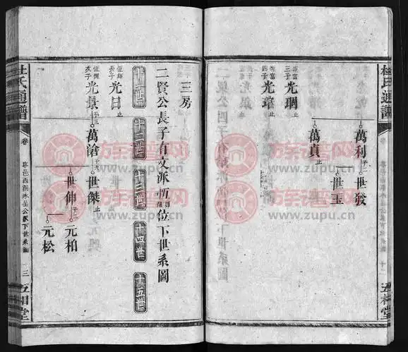 杜氏通谱 [卷数不详]