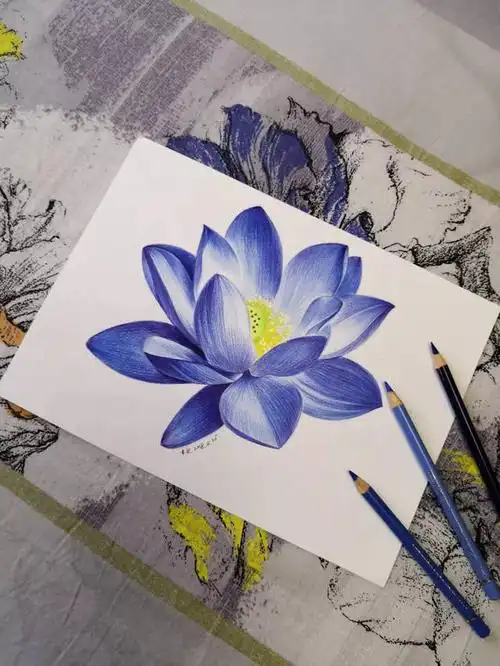 所以选了这幅很"素"的蓝莲花素材,跟大家好好讲讲该怎么叠色,怎么排线