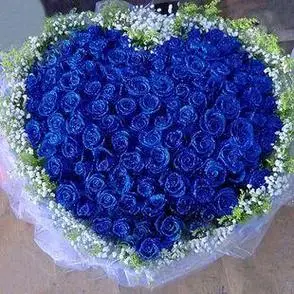 蓝色妖姬语录搞笑图片