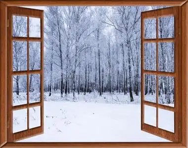 太阳从外部图片