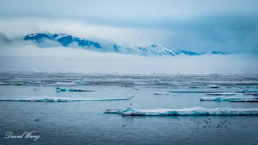冰川世界-北极印象
