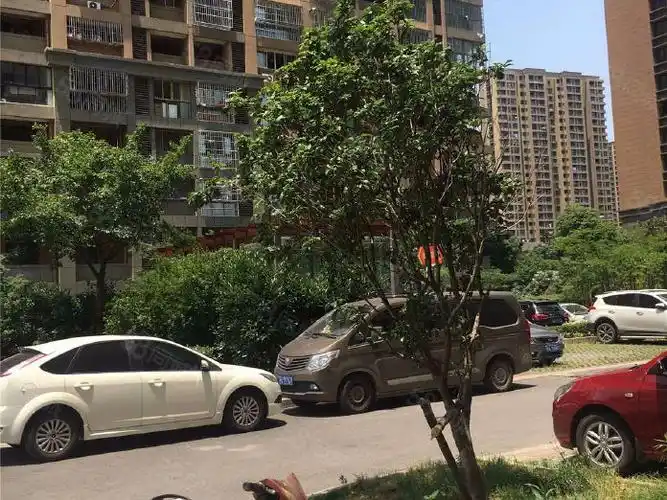 岱山新城精装两室一厅干净整洁房东人好付款灵活可养宠物