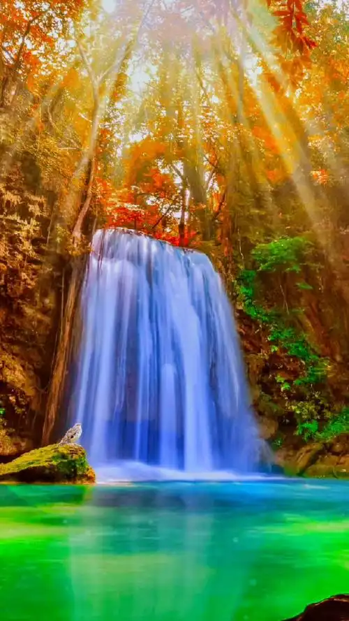 治愈系风景 动态壁纸