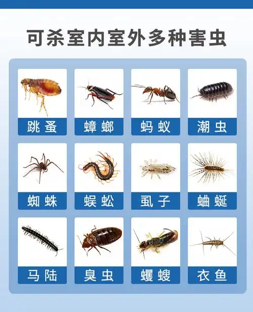 修正杀虫粉剂灭蜈蚣跳蚤除蚰蜒臭虫潮虫马陆粉室内驱虫