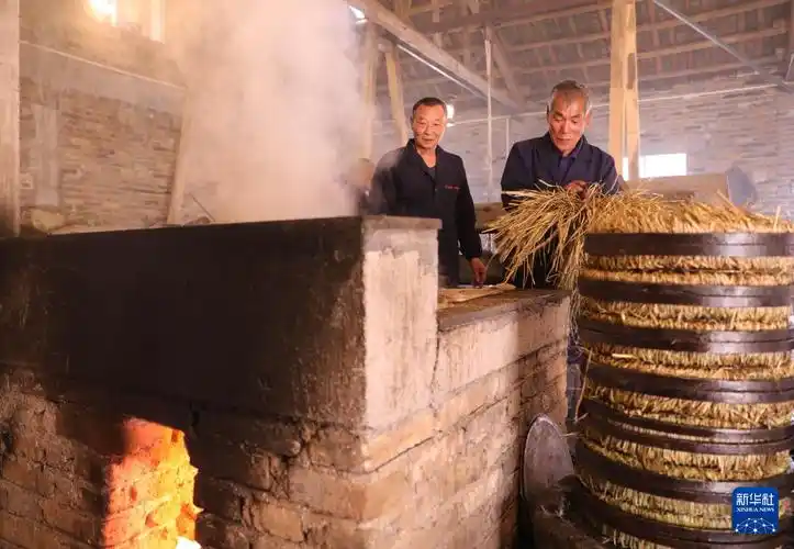 古法榨茶油传承老手艺