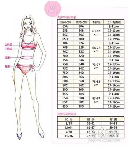 胸围是32a的胸是多大?最好能用物体来形容一下,谢谢