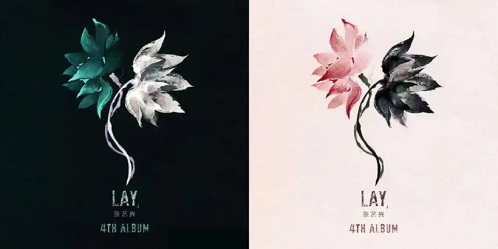 张艺兴——张艺兴第四张实体专辑《莲》拆包reaction:第一个.