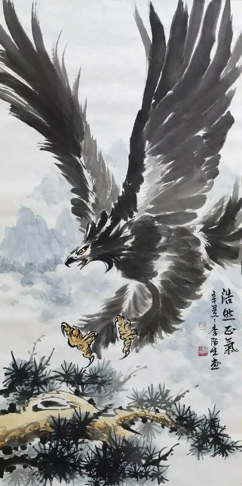 国画鹰《浩然正气》 - 抖音