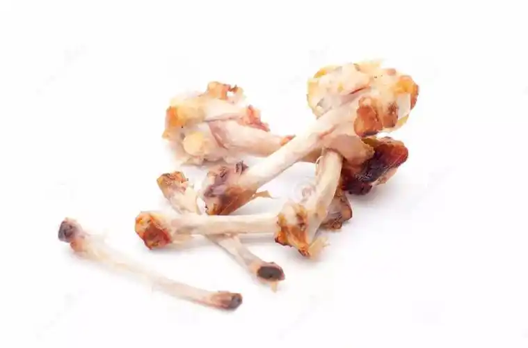 厨余垃圾------讲解:厨余垃圾和其他垃圾的区分,要注意短时间内不可