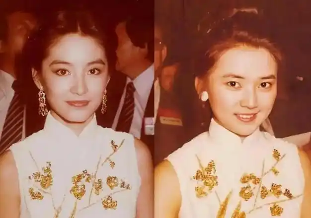 年轻时的胡慧中美貌和林青霞不分上下,如果说林青霞是英气,那胡慧中便