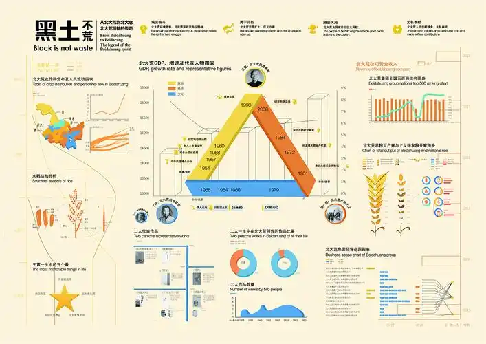 数据可视化设计黑土不荒