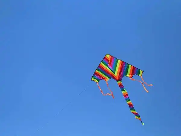 (风筝乘风起飞.)·fly英 /fla01/ / v.