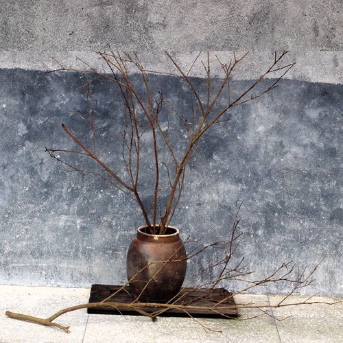 树枝装饰枯枝干枝插花禅意艺术原木摆件天然干花