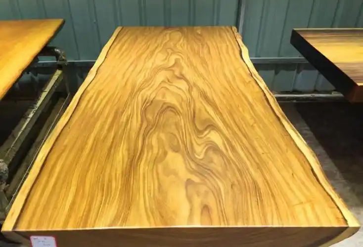 金丝柚木是什么