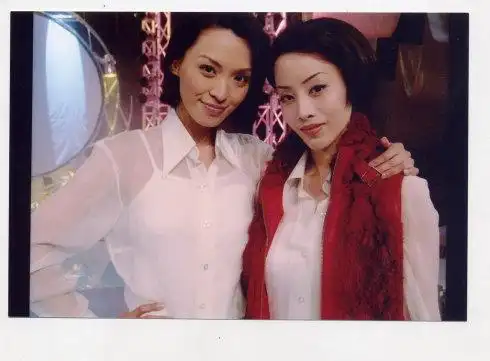 图亚洲小姐陈炜和梅艳芳两人相似度极高