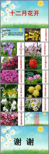 大班十二月花开ppt课件