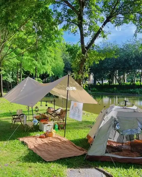 露营享受生活