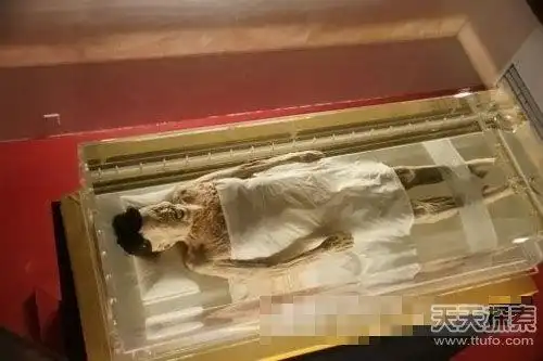 中华三大不腐女尸为何女尸可以不腐