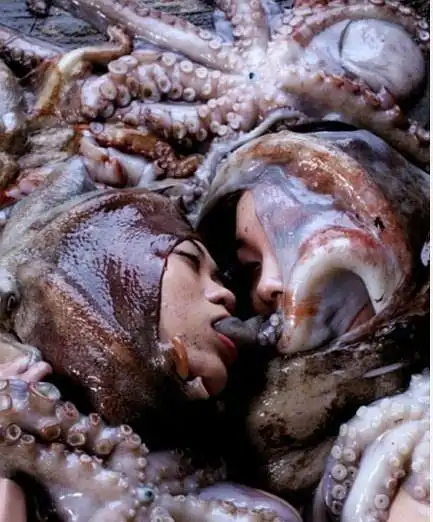 到底是人吃章鱼 ,还是章鱼吃人?