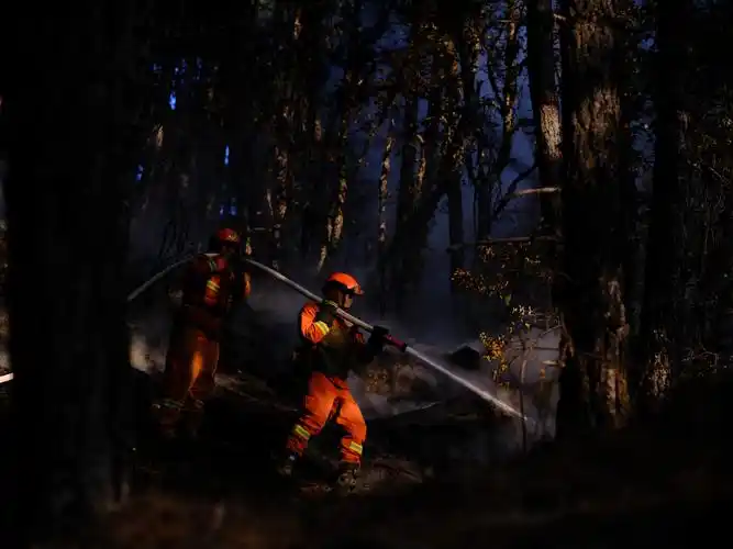 图片故事|扑火,在海拔4200米以上_快看_澎湃新闻-the paper