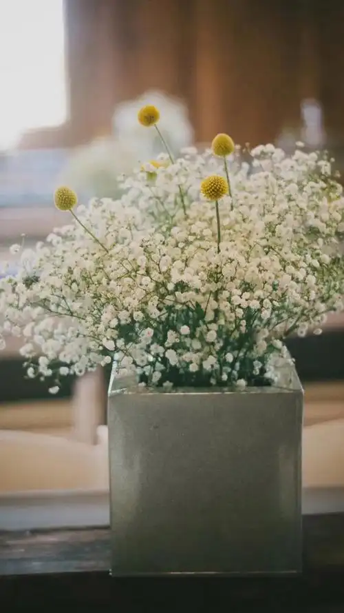 唯美满天星手机壁纸