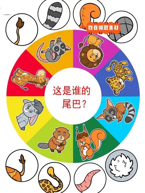 幼儿园小中班生活区或益智区这是谁的尾巴