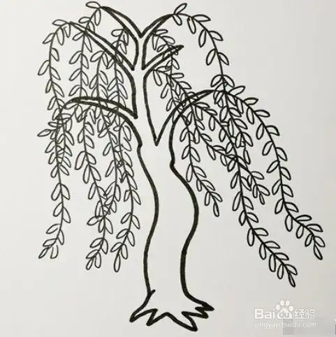 柳树简笔画画法