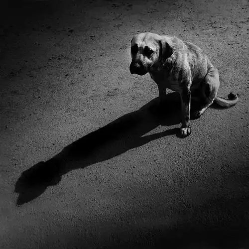 56张光和影子的光影摄影照片 | 创意悠悠花园