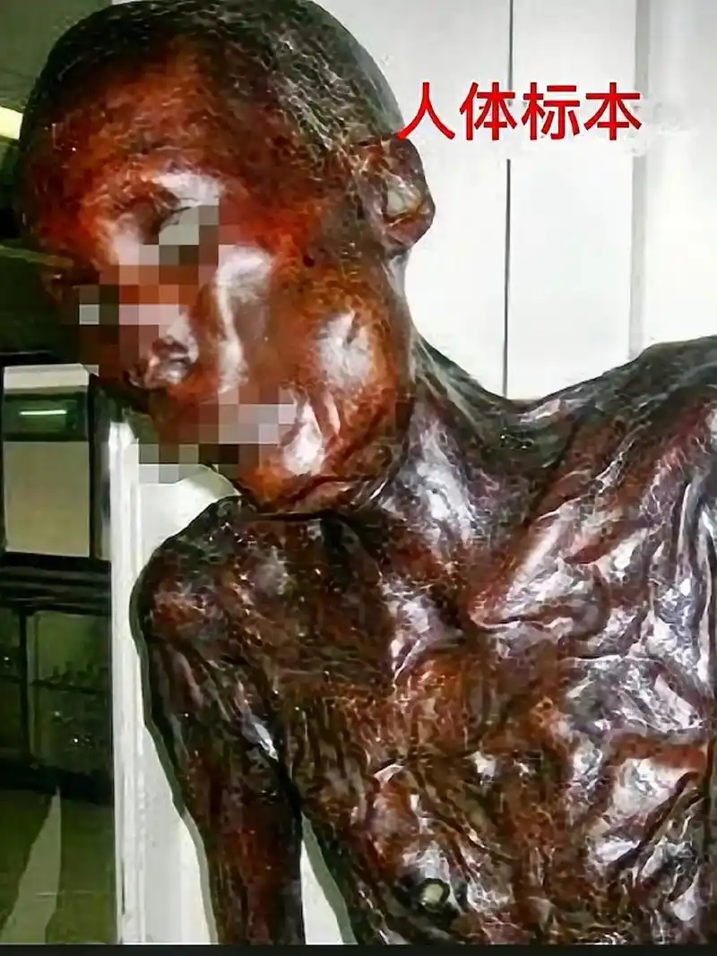 铭记历史,勿忘国耻!有有多少人记的日本人的731,在中国无恶 - 抖音