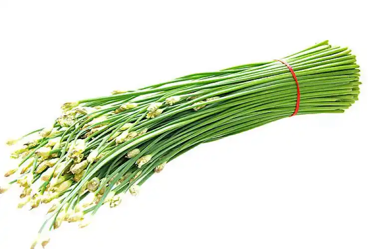 韭菜苔图片_韭菜苔高清图片_全景视觉