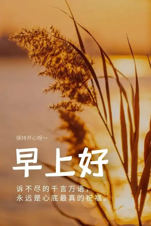 原创早安祝福说说朋友圈优美的早安心语唯美的早安图文语录