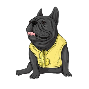 帅气黑色法国斗牛犬