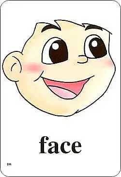 新起点小学英语单词卡片-一年级上册