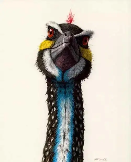 国外的超写实彩铅逼真得不像话