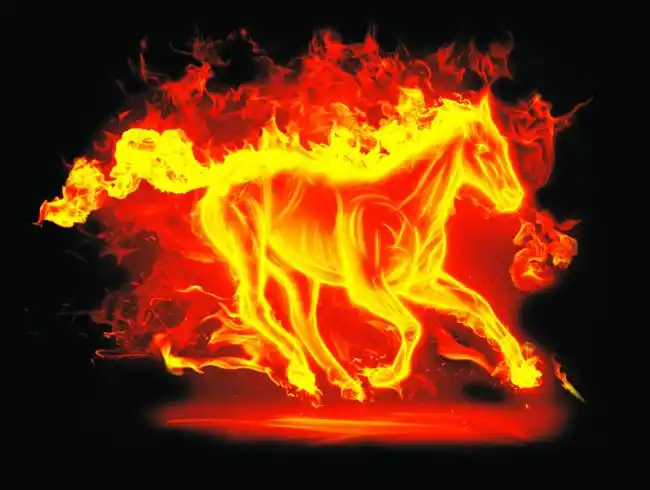 请问你们这是什么马,在哪里可以找到图片,急,知道的朋友告诉我,谢谢!