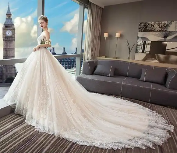 婚纱2019新款大长拖尾齐地冬季抖音新娘礼服公主梦幻显瘦赫本奢华