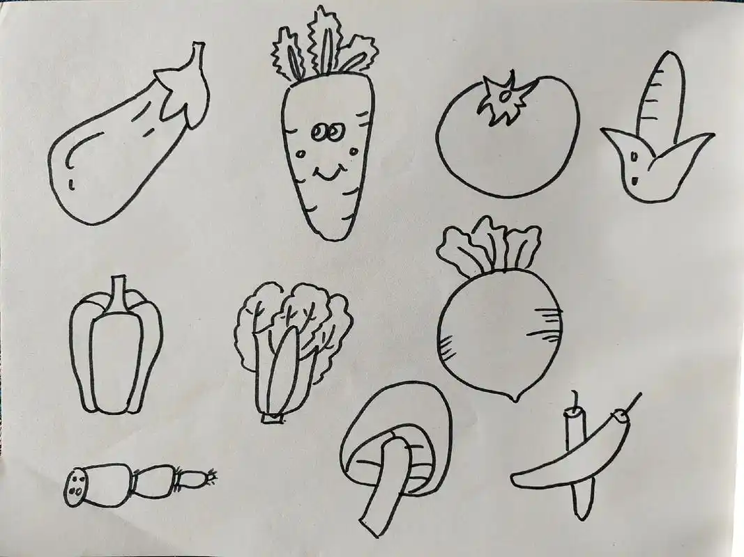 今日简笔画蔬菜水果动物