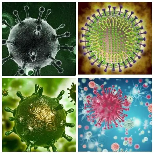 牛小二年级3班王一丞"战疫"微课堂——人类历史因病毒而遭遇的大型