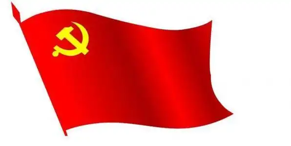 学生致敬党旗简笔画