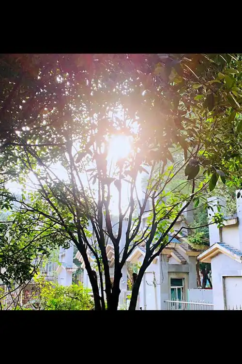 很好,新年第一天有暖暖的阳光,微风拂过脸颊,心情愉悦!