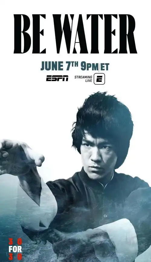 李小龙纪录片海报.