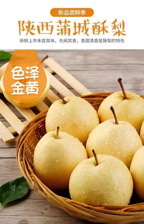 新年礼物坏果包赔正宗陕西蒲城酥梨新鲜脆甜水果梨带箱9510斤礼大果
