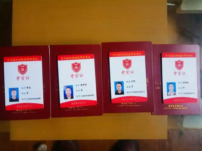 乒乓球等级考试考官证