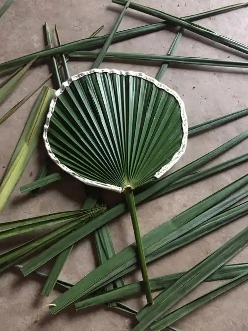 夏天怎么离得开蒲扇