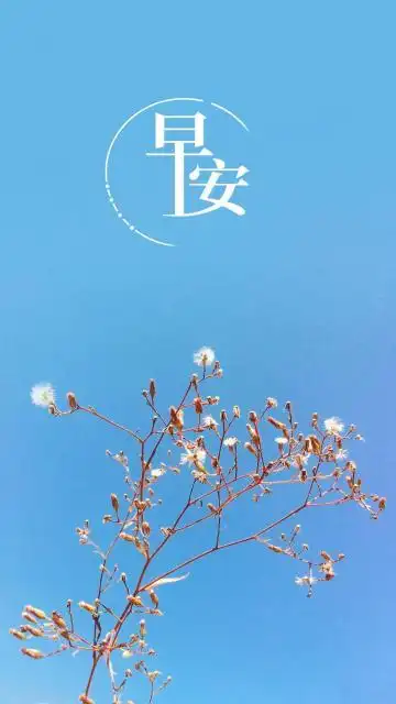 早安,更好的自己